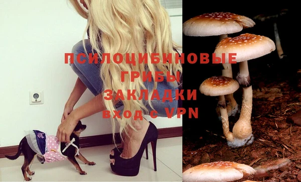 кристаллы Бугульма